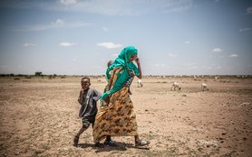 Ethiopia_drought_42489lpr.jpg