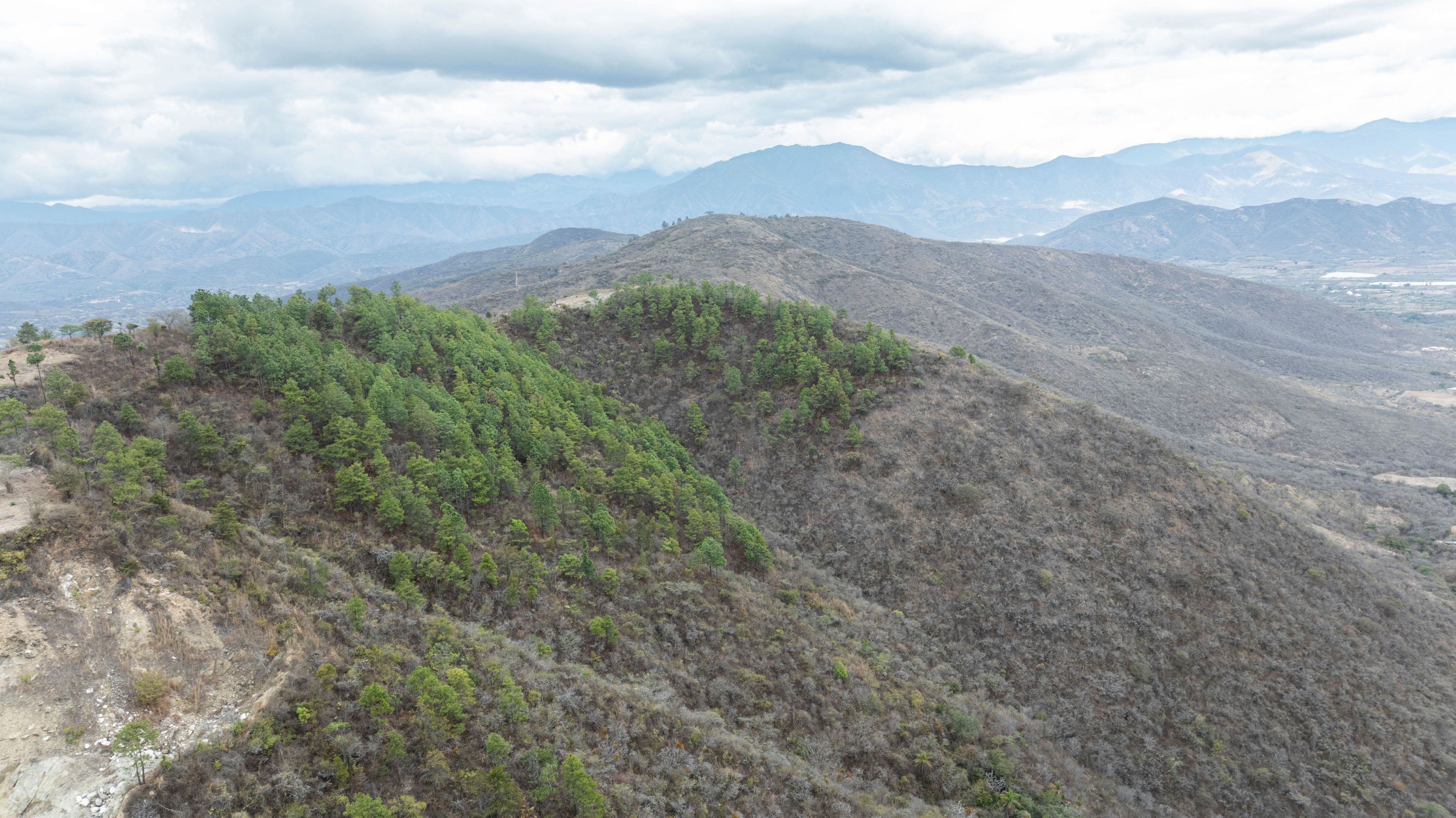  Overhead shot of the Dry Corridor in Guatemala. 