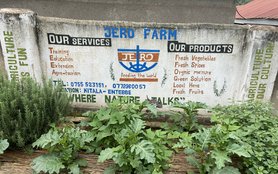 urban-food-hives-jero farm