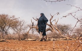 Kenya_drought.jpg