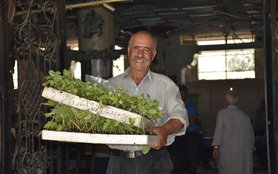 Syria_farmer_Marwan.JPG