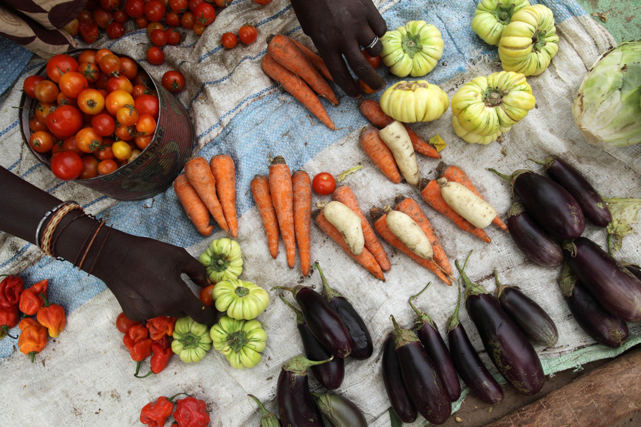OUS_28528_Farming071-lpr RB.jpg
