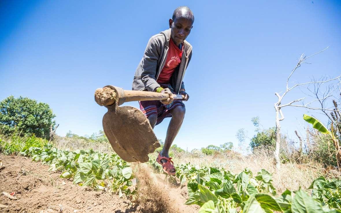  how will climate change affect agriculture_367528.jpg 