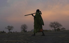 A woman farmer walks from her field to her home near Renk, in South Sudan. This area is hosting people who have crossed the border from Sudan to escape conflict.