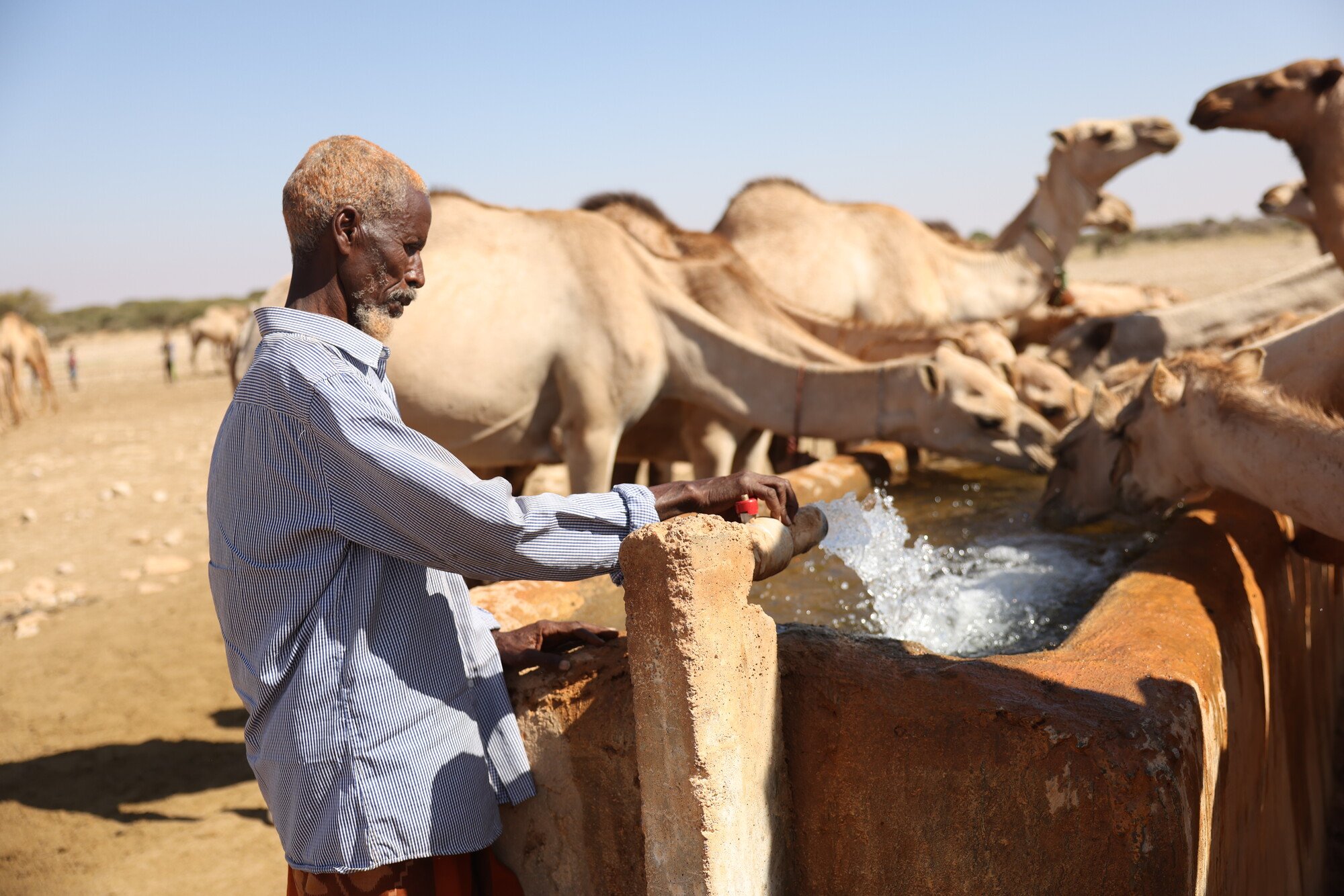 Mohamed Yusuf Bulaale tends to his camels as they drink from a water well constructed by Oxfam. The well provides a vital water source for both pastoralists and their livestock in this drought-affected region.