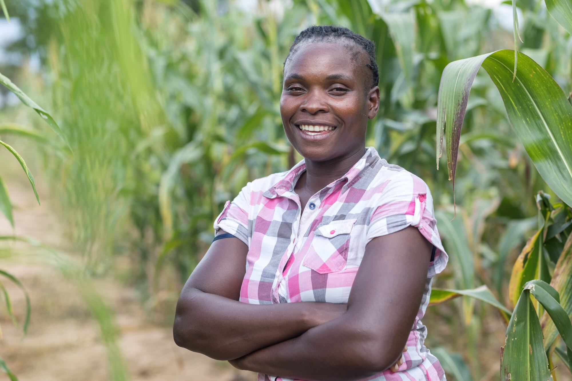  Angela Chiyala is a leader of a Farmer Field School in southern Zambia. 