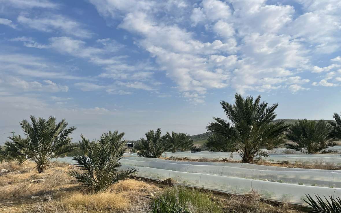  A solar-powered pump installed by Oxfam to feed an irrigation system for this farm in the West Bank was demolished by Israeli settlers. When the pump was repaired, it was demolished again – this second time by the Israeli military. 