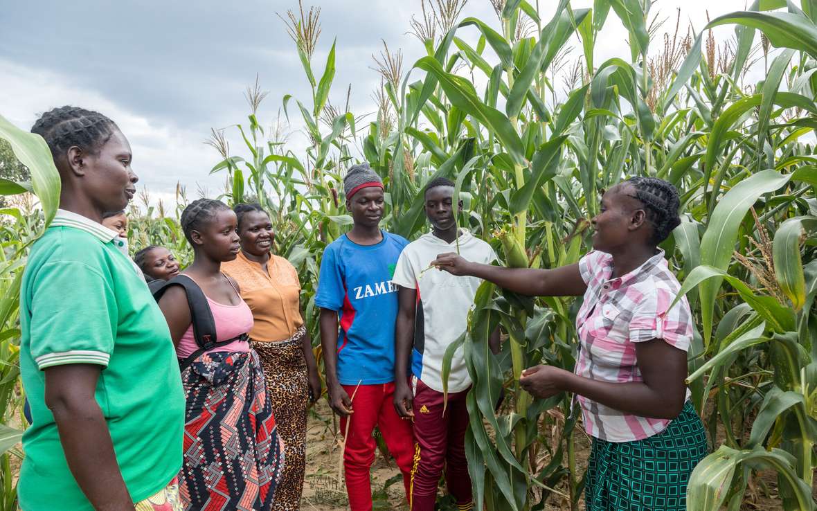  Chiyala instructs students in a Farmer Field School in southern Zambia 