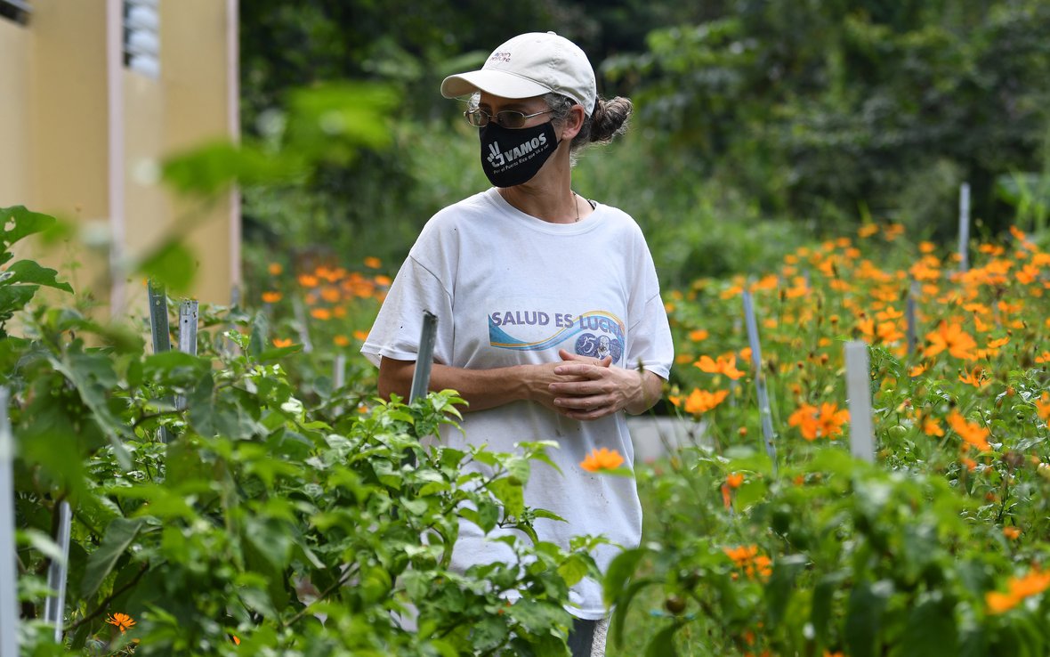 PAZ PARA TI COMMUNITY GARDEN 38.JPG