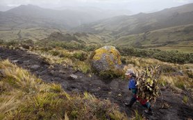 Peru_farmer_mtns_30177_.jpg