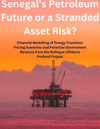 Senegal’s Petroleum Future or a Stranded Asset Risk (2)