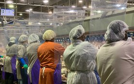 Workstation Dividers at Tyson Facility.JPG