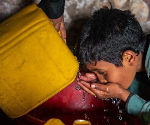 cropped_image_480x400