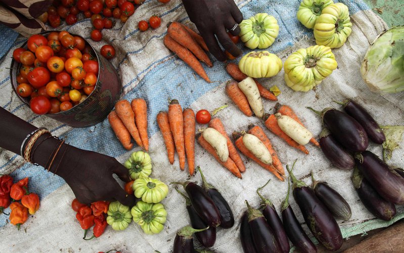 farmers-market-senegal-ous-28528.jpg