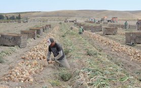 farmworkers-1220x763.jpg
