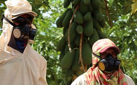 food workers in Brazil