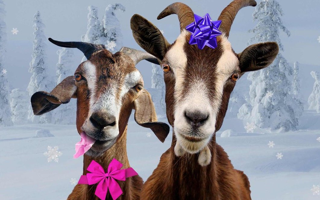 goats for lead image.jpg