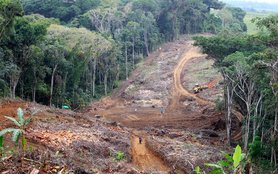 shutterstock_2344161737