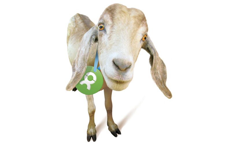 unwrapped-goat-2013-update-ous.jpg