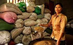 vietnam-farmer-with-sri-rice-in-bags