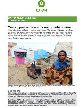 yemen-brief-thumbnail.JPG